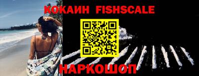 дмт Кингисепп