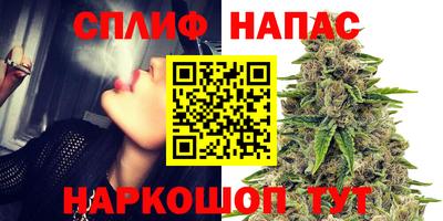 дмт Кингисепп