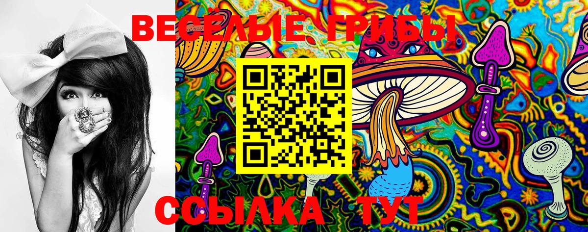 дарнет шоп  Вход с VPN  Туймазы  Галлюциногенные грибы GOLDEN TEACHER 